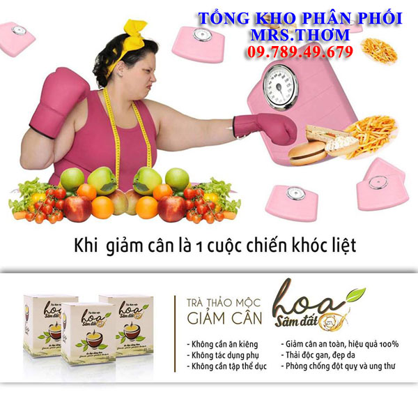 Giam Can Hoa Sam Dat