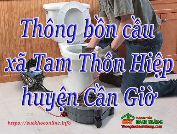 Thông bồn cầu xã Tam Thôn Hiệp, huyện Cần Giờ giá rẻ, chuyên nghiệp BT online