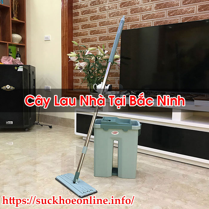 Cây Lau Nhà Tại Bắc Ninh